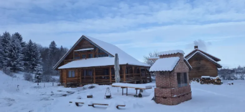 Rosehip Flowers Hotels in 