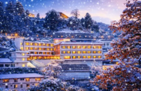 ホテル ヴィシュヌ パレス のホテル