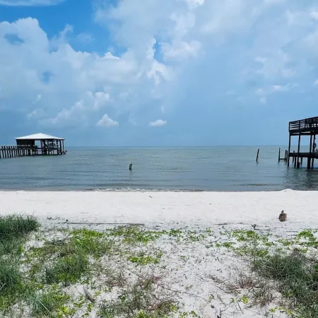 Waterfront private sandy Bay Beach & private pathway to Gulfside. Bring dogs!