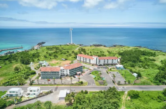 WAVE JEJU HOTEL&RESORT ラオン動物園周辺のホテル