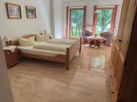 Pension Treenehof - Wifi
