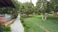 Apella Hotel - Airport Shuttle