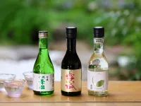 Hamanoyu - bars