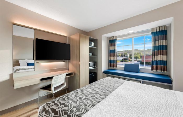 Microtel Inn & Suites by Wyndham Greenville / Woodruff Rd