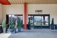 Best Western Plus City Centre Inn - bar