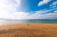 Hotel Verol - pantai