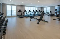 Home2 Suites by Hilton Pensacola Airport Medical Center - Kæledyr tilladt