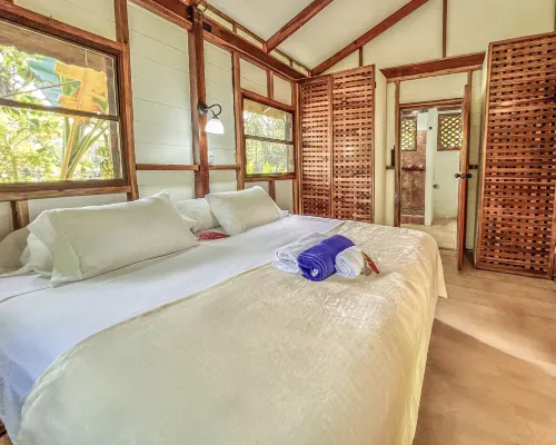 Private Caribbean Villa, Pool, Hot-Water Jacuzzi & Tropical Garden - Villas