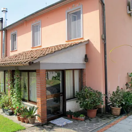 Agrifoglio