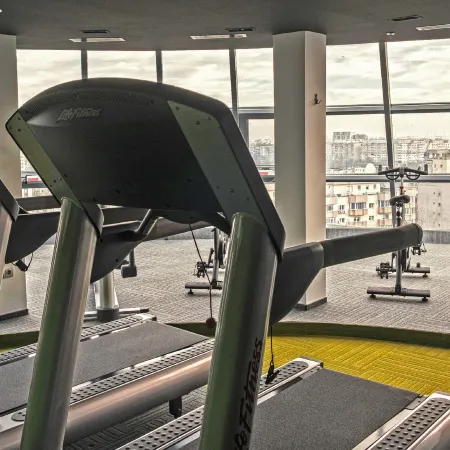 Holiday Inn BUCHAREST - TIMES by IHG