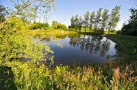 Chambre au calme B&b - au Domaine de La Bellière