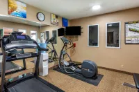 Comfort Inn Evanston I-80 - Gym