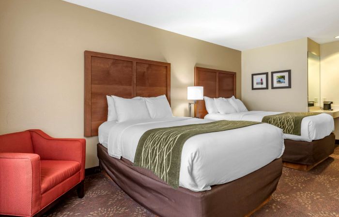 Comfort Inn Okemos - East Lansing