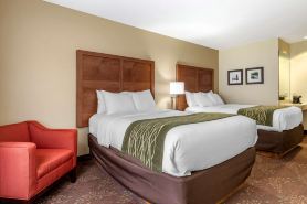 Comfort Inn Okemos - East Lansing