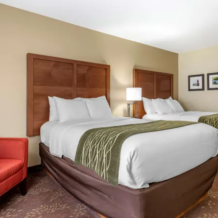 Comfort Inn Okemos - East Lansing