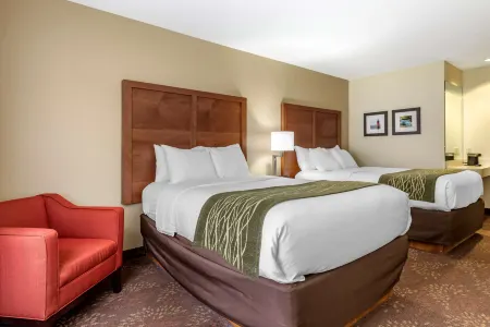 Comfort Inn Okemos - East Lansing Отели в г. Ингам Каунти