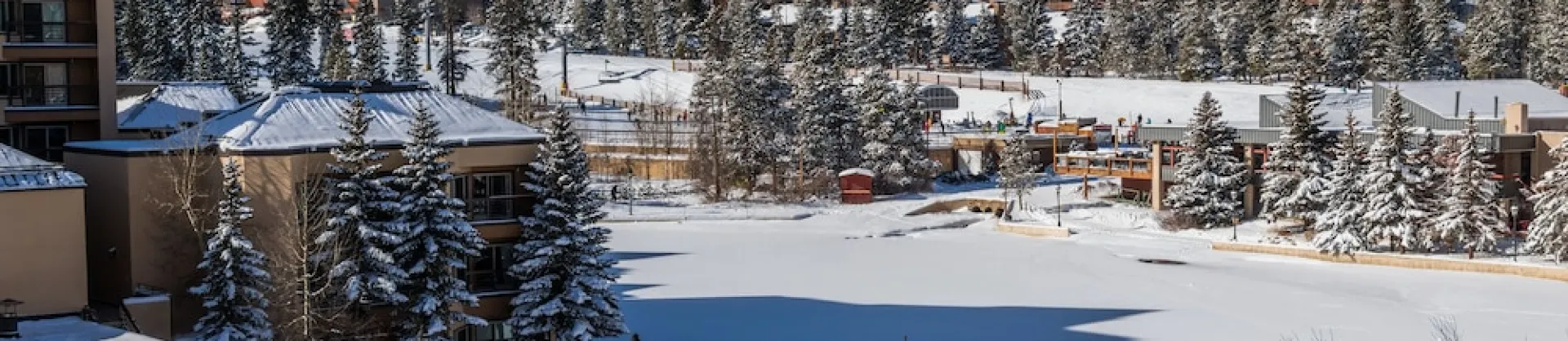 Ski Hotels