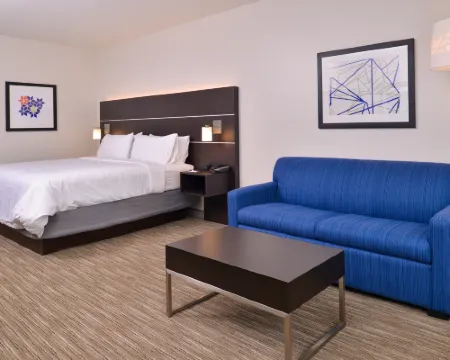 ホリデイ イン エクスプレス & スイーツ モール オブ アメリカ - MSP エアポート by IHG ブルーミントンのホテル