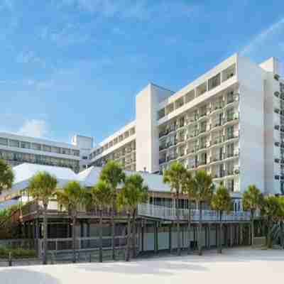 Hilton Clearwater Beach Resort & Spa Hotel Exterior