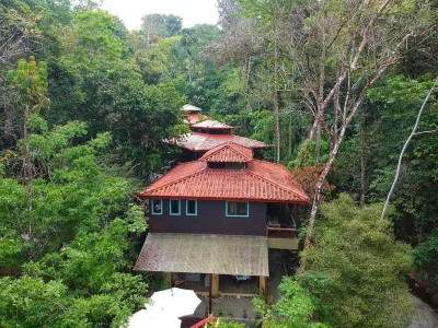 Waterfall Villas Hotels near Playa Matapalo