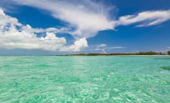 Abaco Beach Resort and Boat Harbour Marina