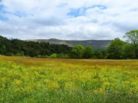 The Summer Palace Hotels in Middleham