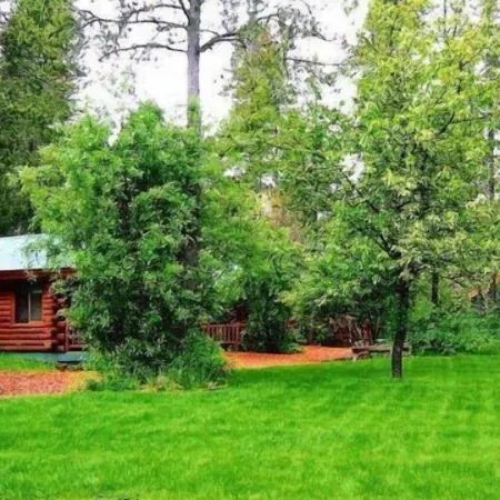 Silverwolf Log Chalet Resort