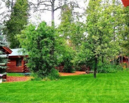 Silverwolf Log Chalet Resort Hotels in Coram