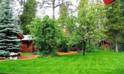 Silverwolf Log Chalet Resort Hotels near Siyeh Pass