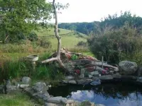 Kilworthy Farm Guesthouse Hotels in Milton Abbot