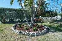 Siesta Motel Hotel di Key Colony Beach