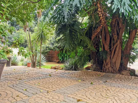 Aerotropolis Guest Lodge Отели рядом с Аэропорт Тамбо