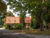 Kranich