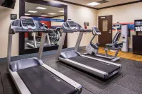 Hampton Inn & Suites Big Spring - Phòng Gym