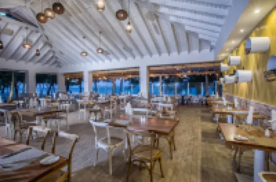 Viva Tangerine by Wyndham, A Trademark All Inclusive