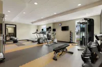 薩凡納機場希爾頓惠庭飯店 - 健身房