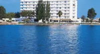 Grupotel Amapola