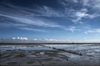 Eemshotel Hotels in Delfzijl