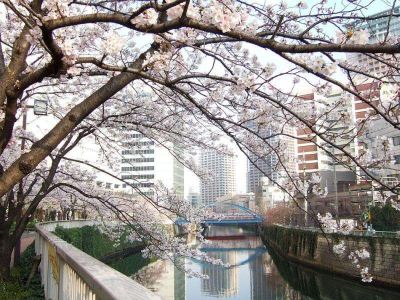 ホテル周辺 ニューオータニ イン東京の写真