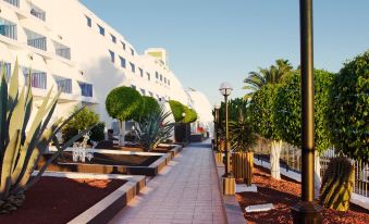 Ereza Apartamentos Los Hibiscos - Adults Only