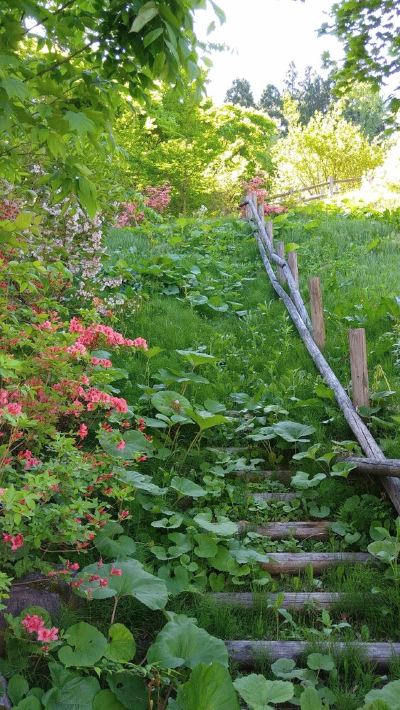 ホテル周辺 鶯宿温泉 長栄館の写真