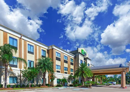 Holiday Inn Express & Suites Beaumont NW Parkdale Mall by IHG