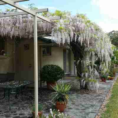 Mescal's at Pampoolah B&B Hotel Exterior