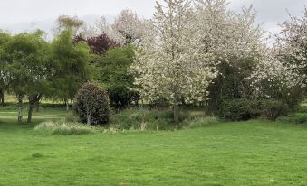 a lush green field with a variety of trees , including cherry blossom trees , in full bloom at Sibton White Horse Inn