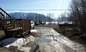 Brown Bear Saloon & Motel