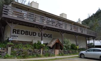 8. Red BUD ..