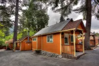 酣睡窩小屋酒店 - Wi-Fi