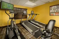 Holiday Inn Express & Suites MANASSAS by IHG - Gym