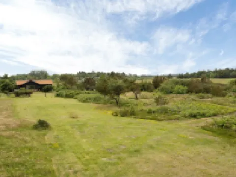 "Lok" - 90m to the Fjord