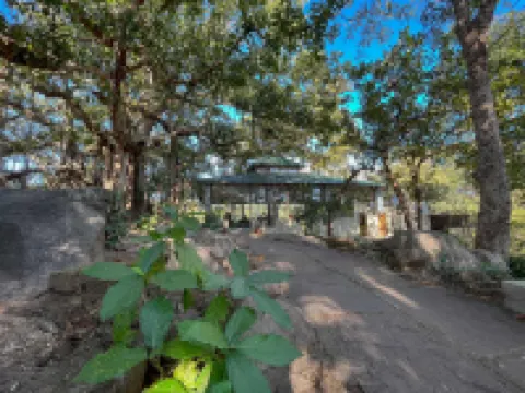 Bison Retreat - Pench